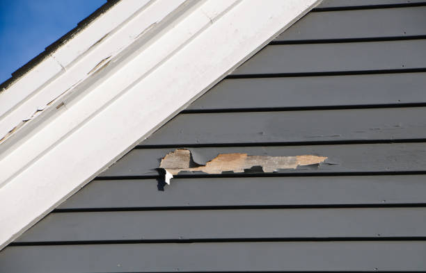 Reliable Discovery Bay, CA Siding Installation Solutions